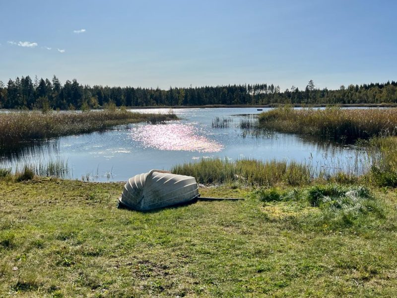 Ferienhaus Älgshult in Hultsfred - Kalmar-04