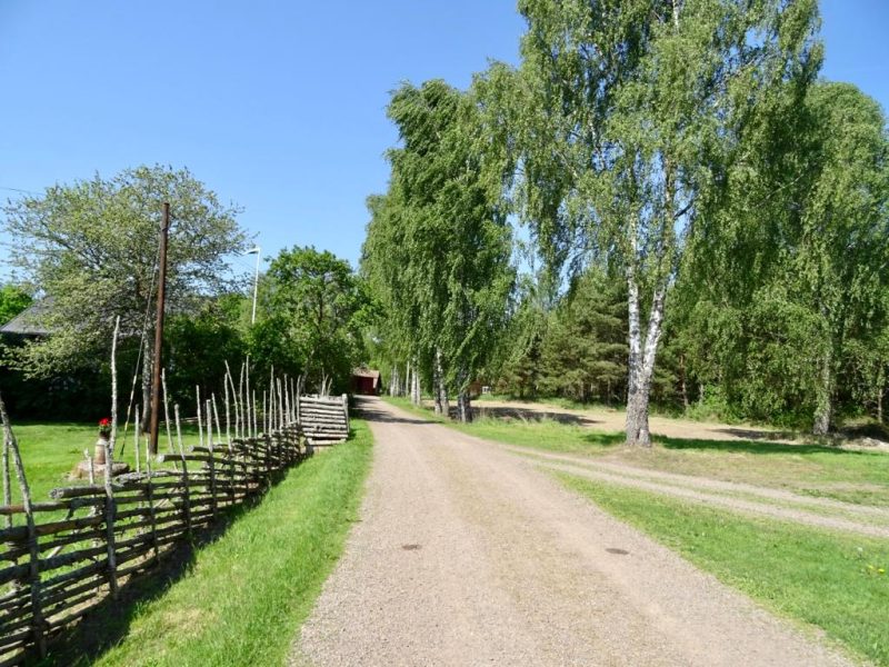 Ferienhaus Älgshult in Hultsfred - Kalmar-15