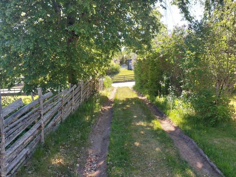 Ferienhaus Ekvägen in Hultsfred - Kalmar-06