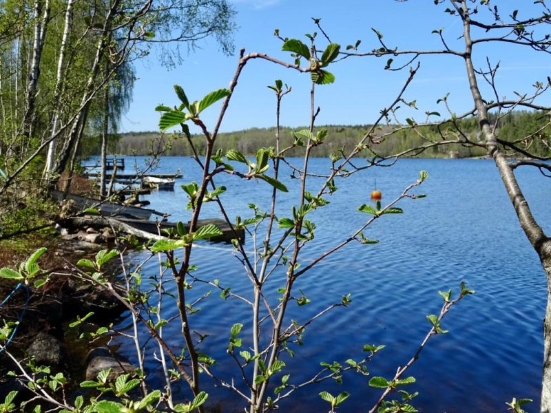 Ferienhaus Lönneberga Michael in Hultsfred - Kalmar-25